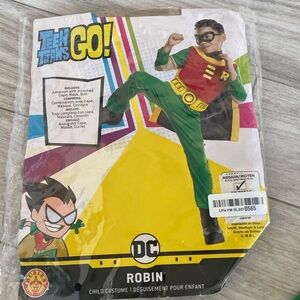 Robin costume